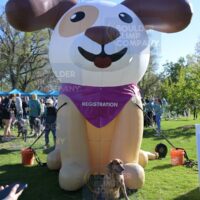 Humane Colorado Inflatable Dog In Action