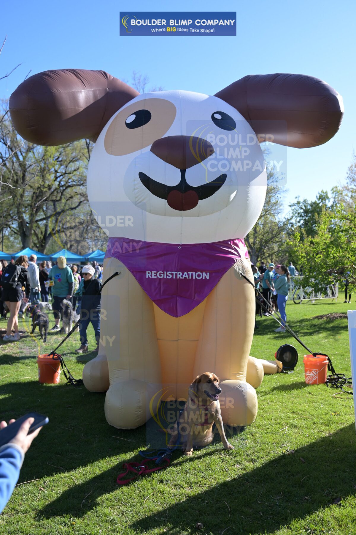 Humane Colorado Inflatable Dog In Action