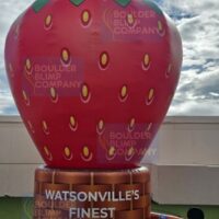 Watsonville Finest Inflatable Strawberry