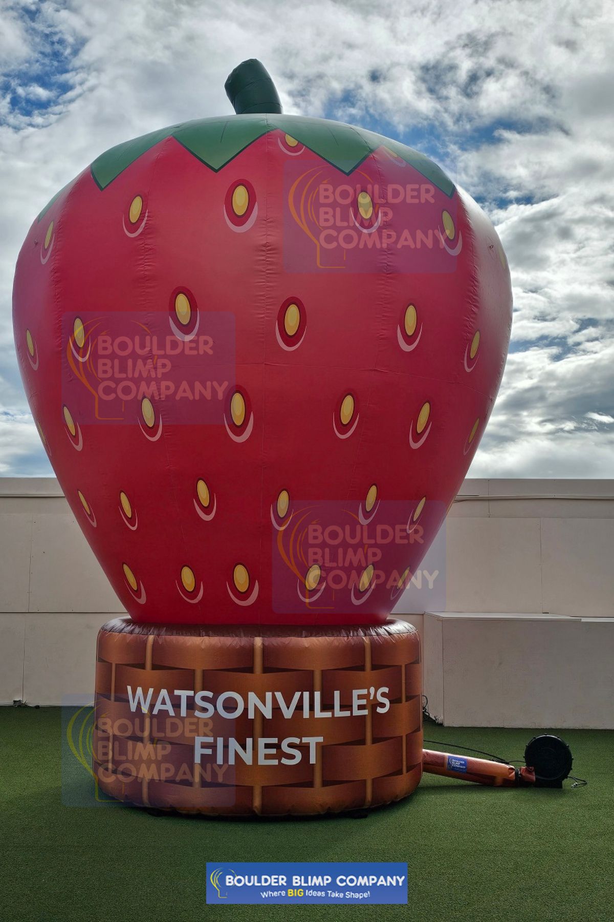 Watsonville Finest Inflatable Strawberry